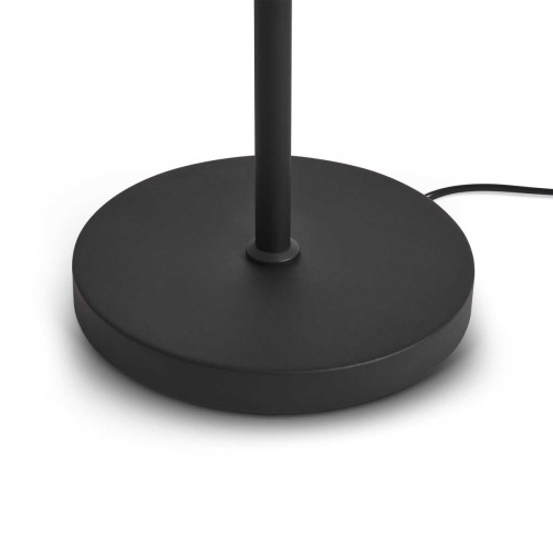 Напольный светильник Freya Modern FR5553FL-L20B фото 5