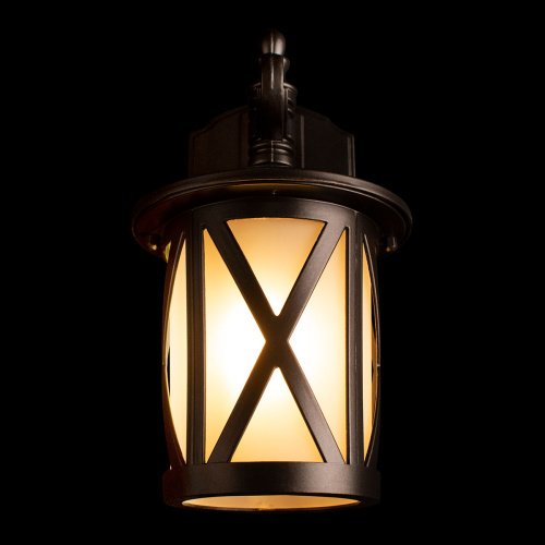 100016W Уличный настенный светильник LOFT IT Ravenna фото 3 100016W Уличный настенный светильник LOFT IT Ravenna фото 3