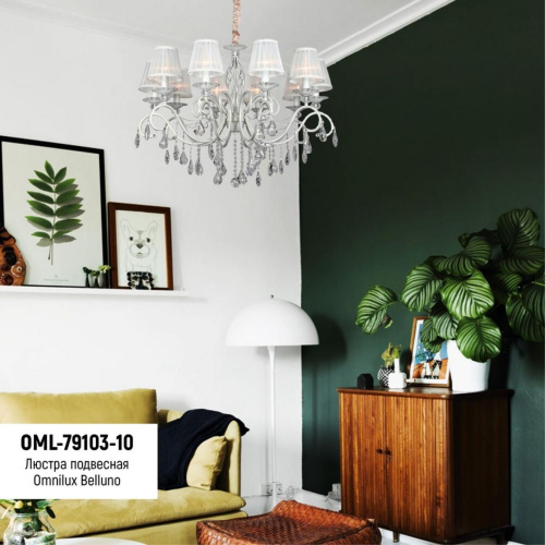 Люстра подвесная OML-79103-10 фото 11 Люстра подвесная OML-79103-10 фото 11