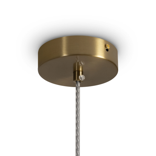 Подвесной светильник Freya FR2056PL-01GR фото 7