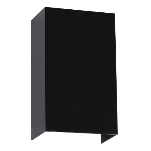 Фасадный светильник Arte Lamp ALGOL A5640AL-2BK Фасадный светильник Arte Lamp ALGOL A5640AL-2BK