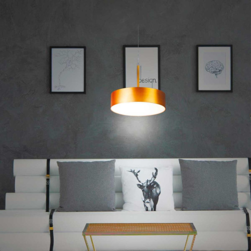 Подвесной светодиодный светильник Novotech Over Prometa 358763 фото 2