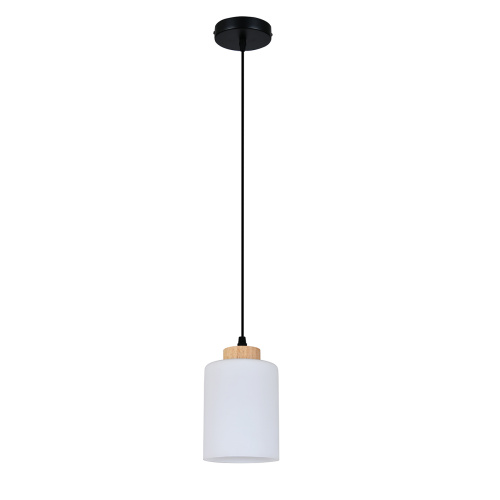Подвесной светильник 160002/B/1P E27*60W Black фото 2
