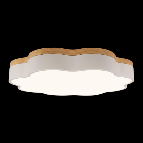 10225/36 White Потолочный светильник LOFT IT Axel фото 4