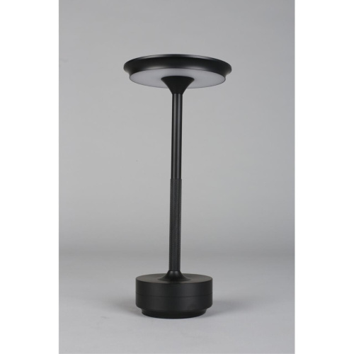 Настольная лампа APL.064.24.05 фото 13