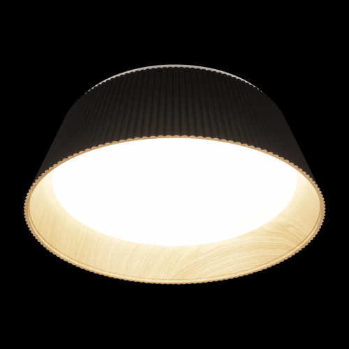 10224 Black Потолочный светильник LOFT IT Evans фото 4 10224 Black Потолочный светильник LOFT IT Evans фото 4