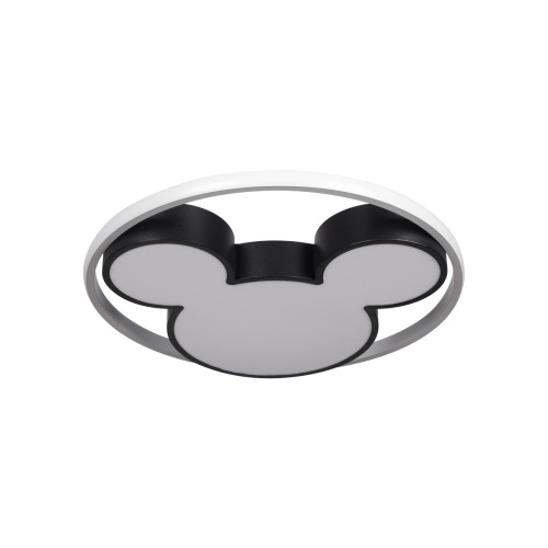 10165 Потолочный светильник LOFT IT Mike фото 4 10165 Потолочный светильник LOFT IT Mike фото 4