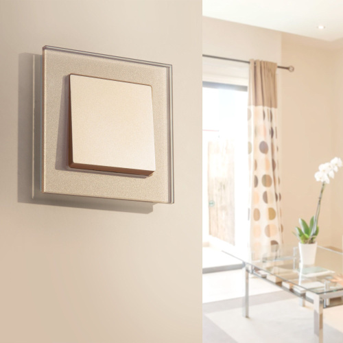 Выключатель одноклавишный (шампань) W1110011 фото 2 Выключатель одноклавишный (шампань) W1110011 фото 2