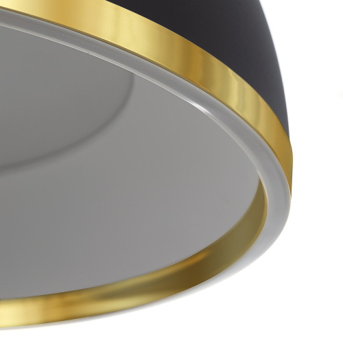 Citilux FLOOM CL736251 Светильник подвесной с пультом Чёрный+Золото фото 8