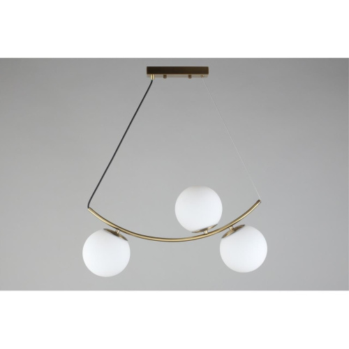 Люстра подвесная OML-94903-03 фото 2