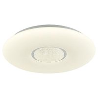 Потолочный светильник Lussole LSP-8310