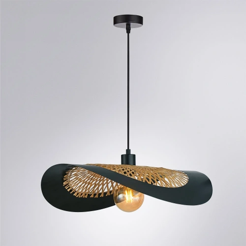 Подвесной светильник Arte Lamp WOODSTOCK A7059SP-1BK фото 2