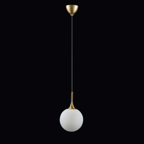 Подвесной светильник Lightstar Globo 813022 фото 2