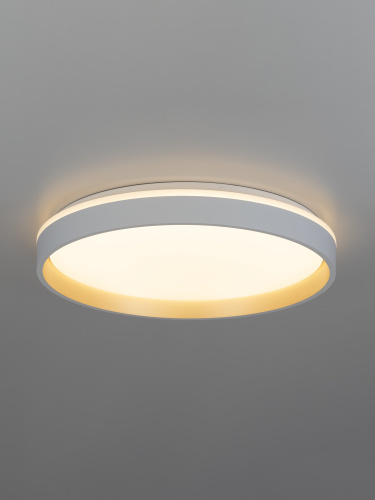 Citilux ENZO CL753450G LED RGB Светильник с пультом Белый + Золото фото 6 Citilux ENZO CL753450G LED RGB Светильник с пультом Белый + Золото фото 6