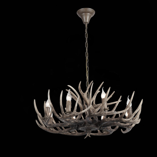 SL154.703.08 Люстра подвесная ST-Luce Серый E14 8*40W CORNA фото 6 SL154.703.08 Люстра подвесная ST-Luce Серый E14 8*40W CORNA фото 6