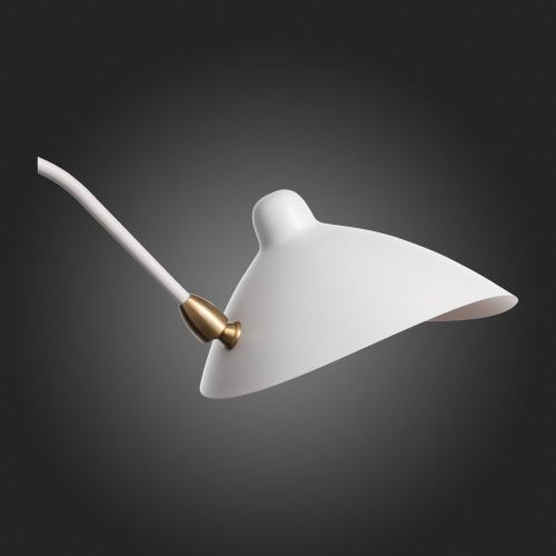 SL305.501.02 Светильник настенный ST-Luce Белый/Белый E27 2*60W SPRUZZO фото 5 SL305.501.02 Светильник настенный ST-Luce Белый/Белый E27 2*60W SPRUZZO фото 5