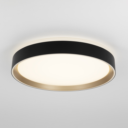 Citilux BOSS CL751351G LED RGB Светильник с пультом Чёрный с Золотом фото 3 Citilux BOSS CL751351G LED RGB Светильник с пультом Чёрный с Золотом фото 3