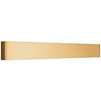 Настенный светодиодный светильник Lightstar Fiume 810523CCT