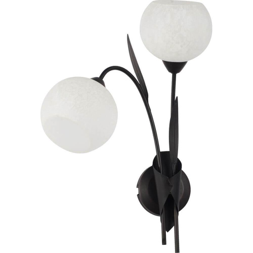 Бра Lussole Bagheria LSF-6291-02 Бра Lussole Bagheria LSF-6291-02