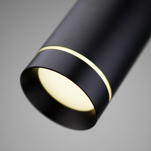 Светильник садово-парковый со светодиодами DLR023 IP54 35084/H черный фото 3