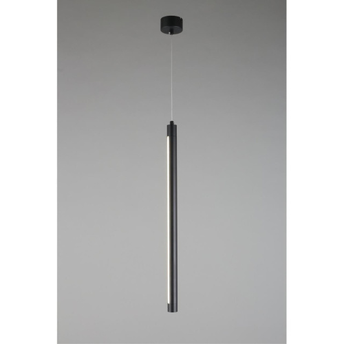 Светильник подвесной OML-102016-17 фото 5