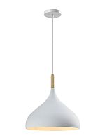 Светильник подвесной Moderli V11439-1P Eline