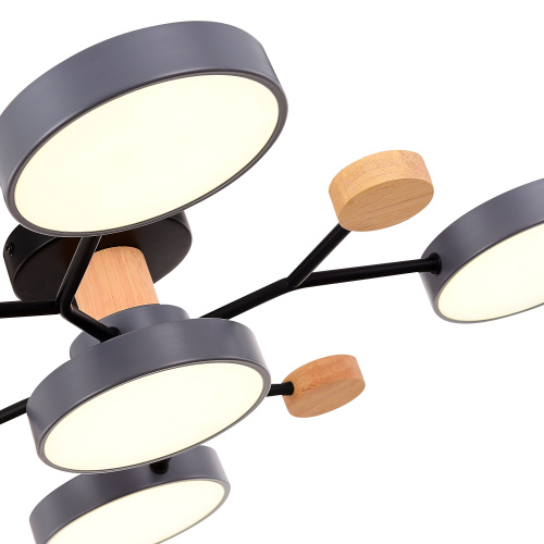 SLE6006-702-05 Светильник потолочный Серый/Серый LED 5*12W 3000K/4500K/6000K FAEMA фото 3