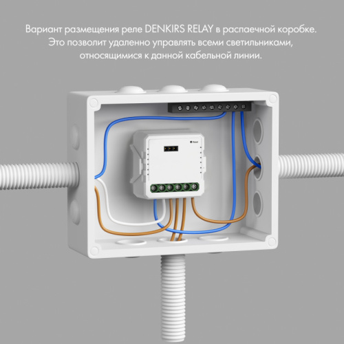 Denkirs Relay | РИЛЭЙ RL1002-SM фото 2 Denkirs Relay | РИЛЭЙ RL1002-SM фото 2