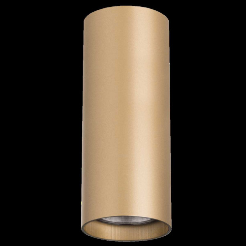 Светильник точечный накладной декоративный под заменяемые галогенные или LED лампы Rullo Rullo Lightstar 214490 фото 3