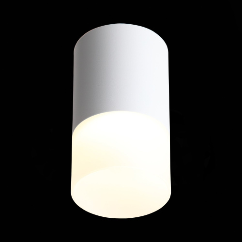 ST100.502.05 Светильник потолочный Белый LED 1*5W 3000K 390Lm Ra>80 120° D64xH110 170-240V Накладные светильники фото 7