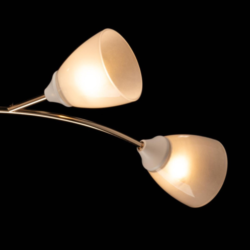 Люстра De City Восторг 242018006 фото 6