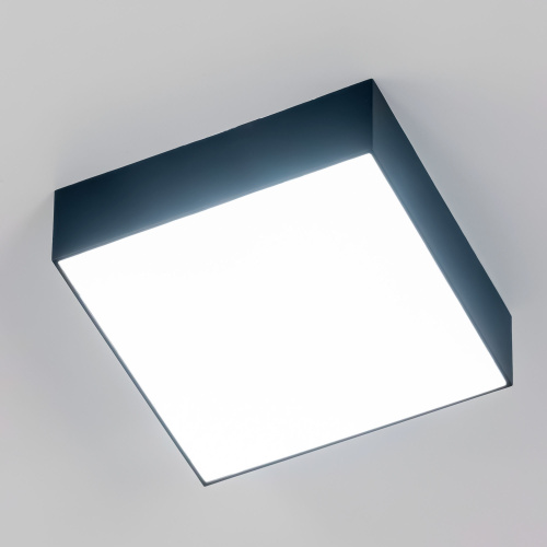 Citilux Тао CL712X122N LED Светильник потолочный с диммером Чёрный фото 19 Citilux Тао CL712X122N LED Светильник потолочный с диммером Чёрный фото 19