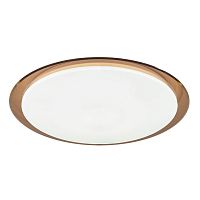 Потолочный светодиодный светильник ЭРА SPB-6-70-RC Saturn (B) Б0036368