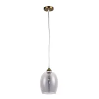 Подвесной светильник Arte Lamp PROPUS A4344SP-1PB