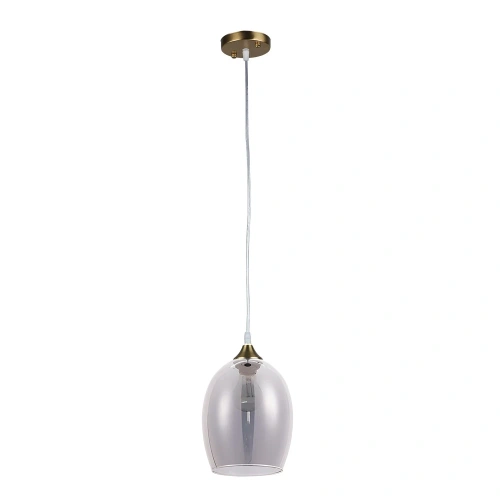 Подвесной светильник Arte Lamp PROPUS A4344SP-1PB Подвесной светильник Arte Lamp PROPUS A4344SP-1PB