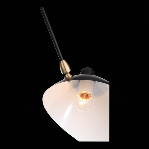 SL305.402.06 Люстра потолочная ST-Luce Черный/Черный, Белый E27 6*60W SPRUZZO фото 5