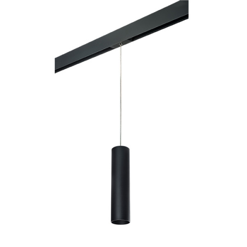 PRORP497 Светильник д/1-фазн трека RULLO HP16 (214497+595857) PRORP497 Светильник д/1-фазн трека RULLO HP16 (214497+595857)