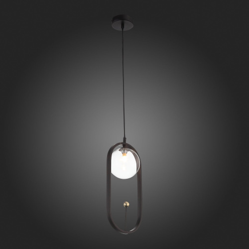 SL1201.403.01 Подвес ST-Luce Черный/Прозрачный G9 1*5W CIRCONO фото 3