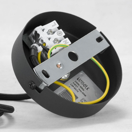 Подвесной светильник Lussole Lgo LSP-8573 фото 5