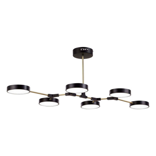 Потолочная светодиодная люстра Evoluce Monta SLE6004-402-06 фото 2