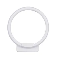 Декоративная подсветка Arte Lamp RAPID A2500AP-1WH