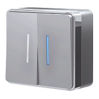 Выключатель двухклавишный с подсветкой Gallant серебряный W5020106