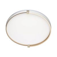 Настенно-потолочный светодиодный светильник Sonex Pale Olidi White 7646/DL