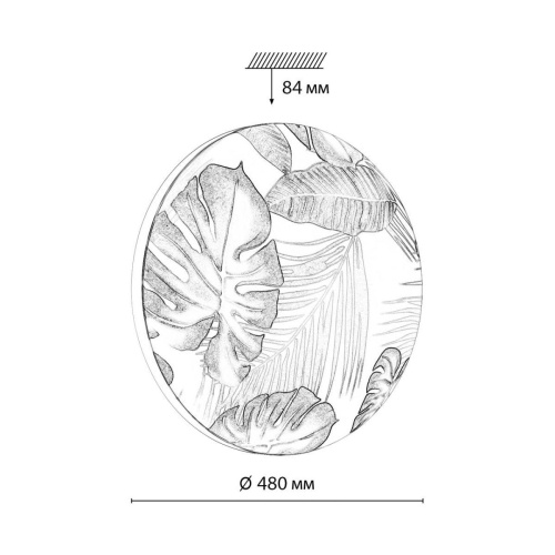 Настенно-потолочный светодиодный светильник Sonex Pale Flori 7748/EL фото 4