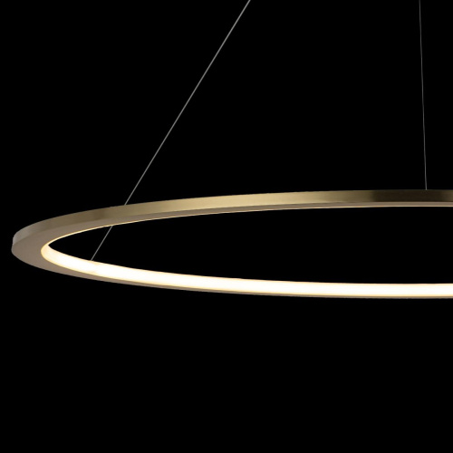 10014XXL Подвесной светильник LOFT IT Ring фото 5 10014XXL Подвесной светильник LOFT IT Ring фото 5