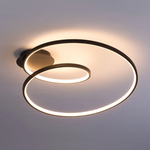 Потолочная люстра Arte Lamp MILLO A3893PL-30BK фото 2