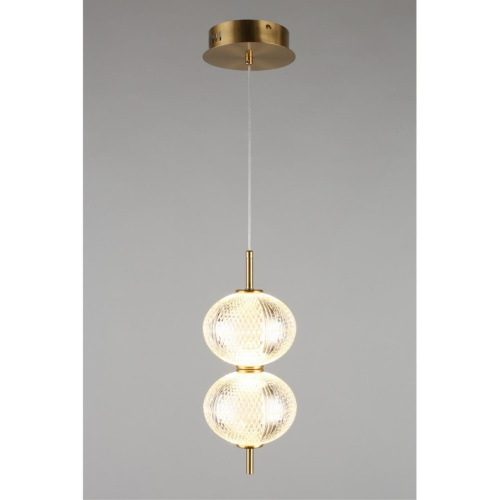 Светильник подвесной OML-68806-02 фото 4