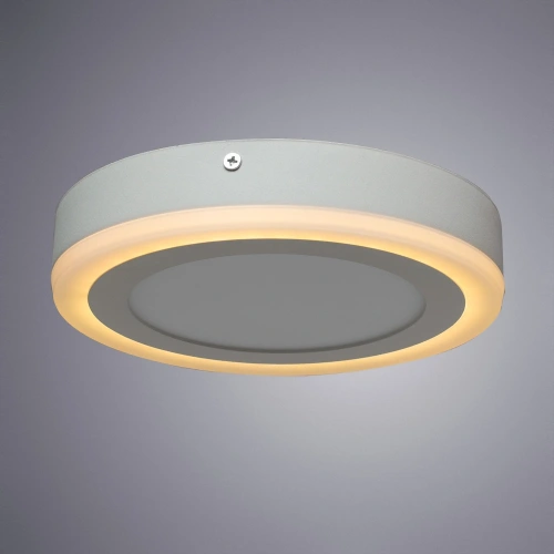 Потолочный светильник Arte Lamp ANTARES A7816PL-2WH фото 3 Потолочный светильник Arte Lamp ANTARES A7816PL-2WH фото 3