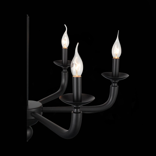 SL1114.403.06 Люстра подвесная ST-Luce Черный E14 6*40W FORTEZA фото 9 SL1114.403.06 Люстра подвесная ST-Luce Черный E14 6*40W FORTEZA фото 9