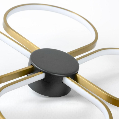 Потолочный светодиодный светильник Lussole Lowell LSP-7351 фото 5